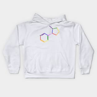 Nicotine Rainbow Molecule Chemistry Kids Hoodie